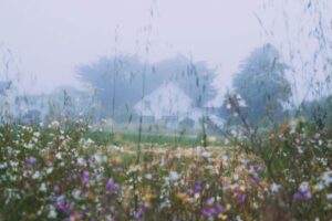 Read more about the article Brand Archetypes – The Passionate and The Hopeful: A Fusion of Love and Purity